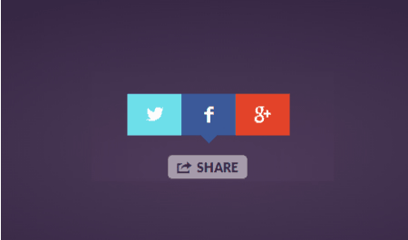 beautiful social share button code