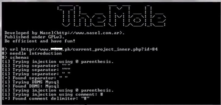  the mole hacking tutorial